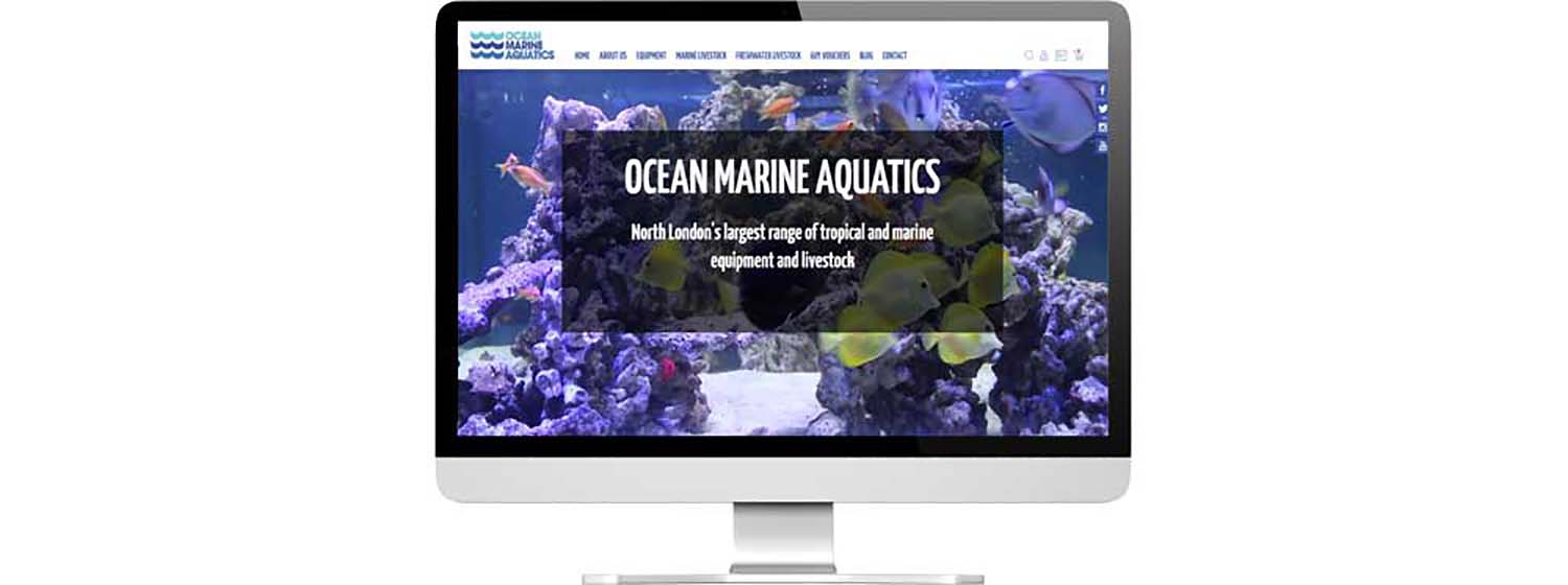 website design on mac